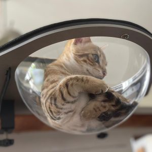 panier à chat demi-bulle transparente